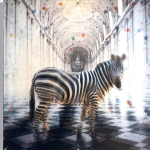 Paul Thierry Zebra